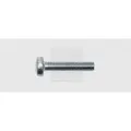 Produktbild: Swg - Gewindeschrauben-sortiment M6 20 Mm Kreuzschlitz Phillips Din 7985 Stahl Verzinkt 100 St.
