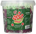 Produktbild: Hirsch Rote Kirschen Lollis 400 Stück im Eimer, 1er Pack (1 x 1.2 kg)