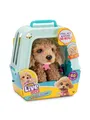 Produktbild: Little Live Pets - My Really Real Puppy - Curley