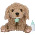 Produktbild: Little Live Pets - My Really Real Puppy - Curley (26612) (0630996266120)
