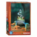 Produktbild: Eurographics Puzzle Rotaugenlaubfrosch, Frösche, 1000 Teile, 68x48 cm, 6000-3004
