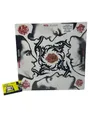 Produktbild: Red Hot Chili Peppers / Blood,Sugar,Sex,Magik (2015) 2 LP vinyl (Schallplatte)