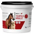 Produktbild: Teufelskralle - ReaVET