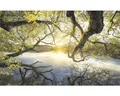 Produktbild: Fototapete Vlies SH080-VD4 Stefan Hefele Ed 1 Golden Embrace 4-tlg. 400 x 250 cm