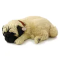 Produktbild: Perfect Petzzz 96194 Mops