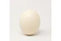 Produktbild: CreaFlor Home Dekofigur Deko, Höhe: 14.5cm, Farbe: Weiß, Motiv: Ei