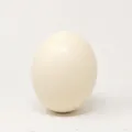 Produktbild: Straußen Ei natur 14,5x13cm CreaFlor Home