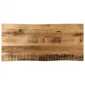 Produktbild: vidaXL Tischplatte, Holzplatte für Tisch Esstisch Couchtisch, Massivholzplatte Baumkante, Ersatztischplatte, 100x40x3,8cm Raues Mango Massivholz