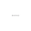 Produktbild: ISO 2010 LinsenSenkkopfschraube M6x16 Messing vernickelt Schlitz 100 Stk