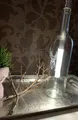 Produktbild: Gravierte Flasche mit Hirschkopf mit Bottle Light Flasche