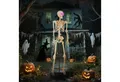 Produktbild: Outsunny Dekofigur mit beweglichen Gelenken (152 cm Halloween-Skelett, 1 St., Halloween Dekoration), mit beleuchteten Augen, gruseligem Sound, für Halloween, Gruselparty