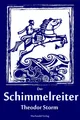 Produktbild: Der Schimmelreiter, Theodor Storm
