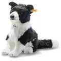 Produktbild: Steiff Jaycee Border Collie 28 schwarz/weiss
