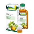Produktbild: Schoenenberger® naturreiner Gemüsesaft Sellerie