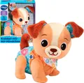 Produktbild: Vtech® Plüschfigur Krabbel-mit-mir-Hündchen