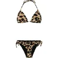Produktbild: PROTEST PRTOLEA TRIANGLE Bikini 2026 fudgecamel - XS