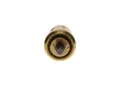 Produktbild: BOSCH Thermostat 1 467 202 302