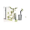 Produktbild: Prosperplast smooth 160l Regentank Anthrazit 160 Liter mit Deckel