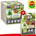 Produktbild: COMPO BIO Universal-Trichterfalle + Pflaumenwickler Lockstoff 3 Dispenser