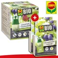 Produktbild: COMPO BIO Universal-Trichterfalle + 2x Pflaumenwickler Lockstoff je 3 Dispenser