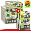 Produktbild: COMPO BIO 2x Universal-Trichterfalle + 2x Pflaumenwickler Lockstoff 3er