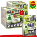 Produktbild: COMPO BIO 2x Universal-Trichterfalle + 1x Pflaumenwickler Lockstoff 3er