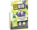 Produktbild: Lockstoff COMPO BIO Pflaumenwickler Lockstoff passend zur COMPO Universal-Tricht