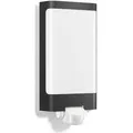 Produktbild: Steinel Sensor-Außenleuchte L 240 LED Anthrazit - Grau