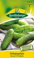 Produktbild: Einlegegurken Restina Samen von Quedlinburger Saatgut