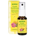 Produktbild: Propolis Rachenspray 20 ml