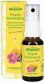 Produktbild: Bergland GmbH Propolis Rachenspray 20 ml - 20 ml Spray 12489006