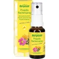 Produktbild: Propolis Rachenspray 20 ml