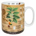 Produktbild: Könitz Wissensbecher Kaffeewissen, Becher, Tasse, Kaffeebecher, Porzellan 490 ml