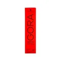 Produktbild: Schwarzkopf igora royal 1-1 blauschwarz 60ml