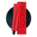 Produktbild: Schwarzkopf Igora Royal 1-1 Cendré Schwarz 60ml- Permanente Färbung