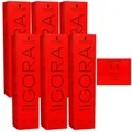 Produktbild: Schwarzkopf Igora Royal 6 x 60 ml 1-1 blauschwarz Haarfarbe Cremefarbe Set