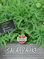 Produktbild: Sperli Salatrauke Speedy - Gemüsesamen
