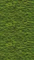 Produktbild: Livingwalls Fototapete Natur in Grün - hochwertige Vliestapete 398391 mit Motiv auf 1,59 m x 2,80 m - Made in Germany