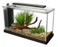 Produktbild: Fluval Spec 5 Nano Aquarium, mit 19L Fassungsvermoegen, in schwarz