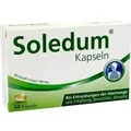 Produktbild: SOLEDUM 50St 2047862