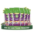 Produktbild: Air Wick Freshmatic Max Nachfüller Frosted Berry Wonder 6x250ml