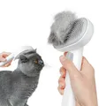Produktbild: aumuca Katzenbürste für Langhaar und Kurzhaar, Haarentfernung mit Einem Klick, H