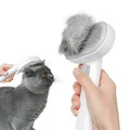Produktbild: Katzenbürste Kurzhaar, Katzen-Bürste mit einem Knopf, Haustier Bürsten TIere