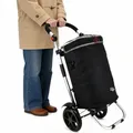 Produktbild: Einkaufstrolley Faltbarer Alu-Rahmen mit Kugellager Leichtlauf-Räder | Shopping-Trolley praktisch 40 Liter Volumen Roller Paketträger multifunktional