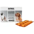 Produktbild: Gastrosel 100 Tabletten