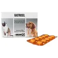 Produktbild: Gastrosel 100 Tabletten Unterstützung der Verdauung für Hunde Katzen Selectavet