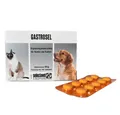 Produktbild: Tierdocshop Gastrosel 100 Tabletten, für: Hund, Katze, Es eignet sich zur Unterstützung der physiologischen Verdauung.