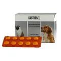 Produktbild: Gastrosel 100 Tabletten Unterstützung der Verdauung für Hunde Katzen Selectavet