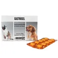 Produktbild: Gastrosel 100 Tabletten Unterstützung der Verdauung für Hunde Katzen Selectavet