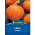 Produktbild: Kiepenkerl Kürbis Uchiki Kuri